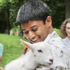 Mehdi Jamal