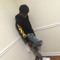 3lettergod