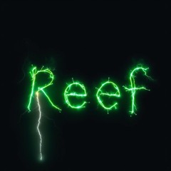 Reef_DnB