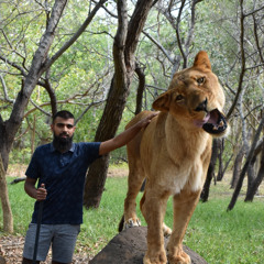 Ismaeel DVLM