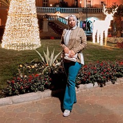 Shahy Shabaan Otafy