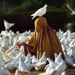 دُنيـا المَلَخاني