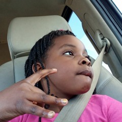 Glock 4K tray for the hood for rovers