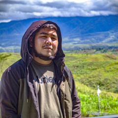 FLYVA