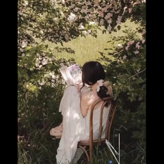 مريم أشرف