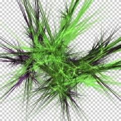 insect4