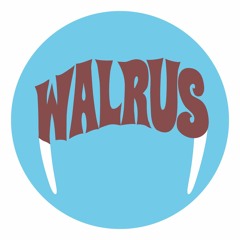 WALRUS | beatles jam band