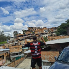 PRACINHA DOS CACHORRO 🐶🇮🇱