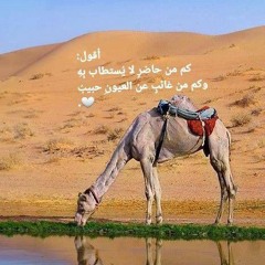 سيدي محمد أحمد
