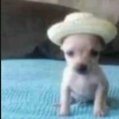 tu perrito fiu fiu