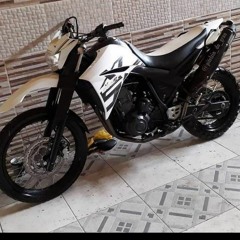 coelhao