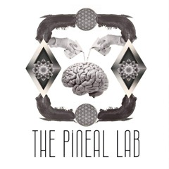 The Pineal Lab