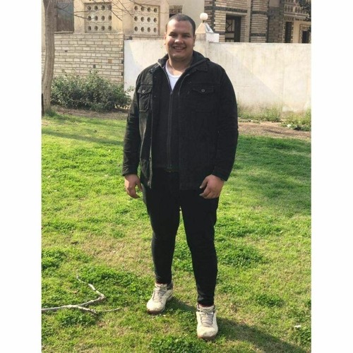 Mohammed Mostafa’s avatar