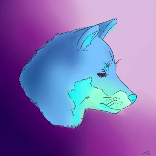 Lionasty’s avatar