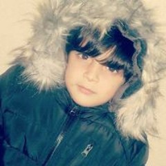 Em Mahmoud AL Sharif