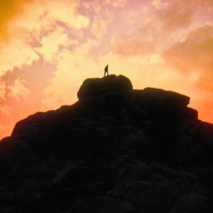 Seeker