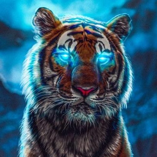Tiger Beatz’s avatar