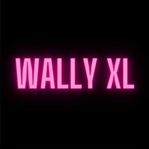 WALLY XL’s avatar