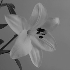 Катерина Разумова