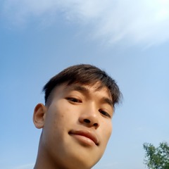 vietchiennn