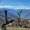 pamir