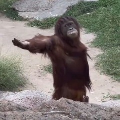 hihihihihihihihi