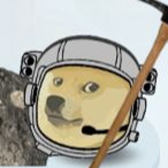 SpaceShibe3000