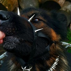 ✩꒷꒦꒷Kody꒷꒦꒷✩