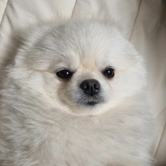 요밍