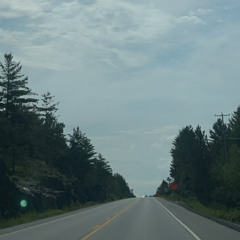 wychcrest