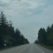 wychcrest