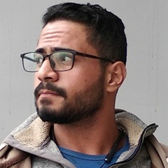 Mohamed Shawqy