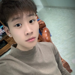 SiNo Hiếu