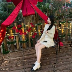 bao tran