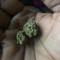 Lilantho