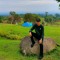 Mhd Asrofi
