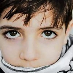 محمد طلعت