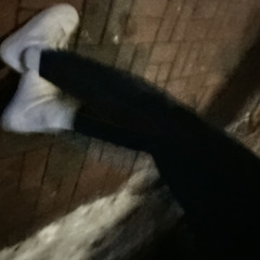 lillilliiillll