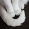 subculcat