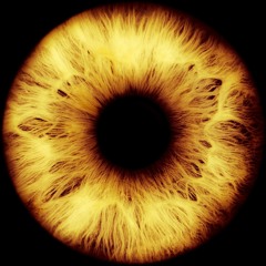 爪丨匚卄卂乇ㄥ