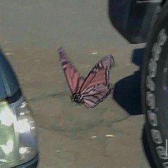 فاطمه انس