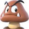poop