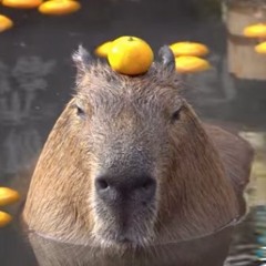 XgameJ