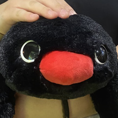 Akinaki Katashi