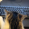 Knugali-and-Cat