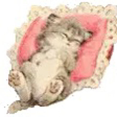 vivi vi i vi