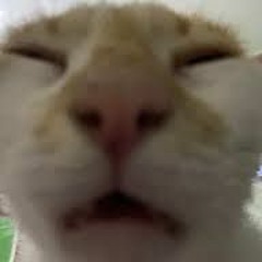 spicy_rice57