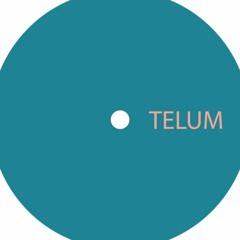 Telum 001 - Unknown Artist - Untitled B Side