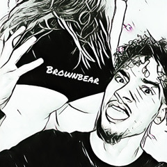 Brownbear_SkB