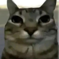 Bruh6769